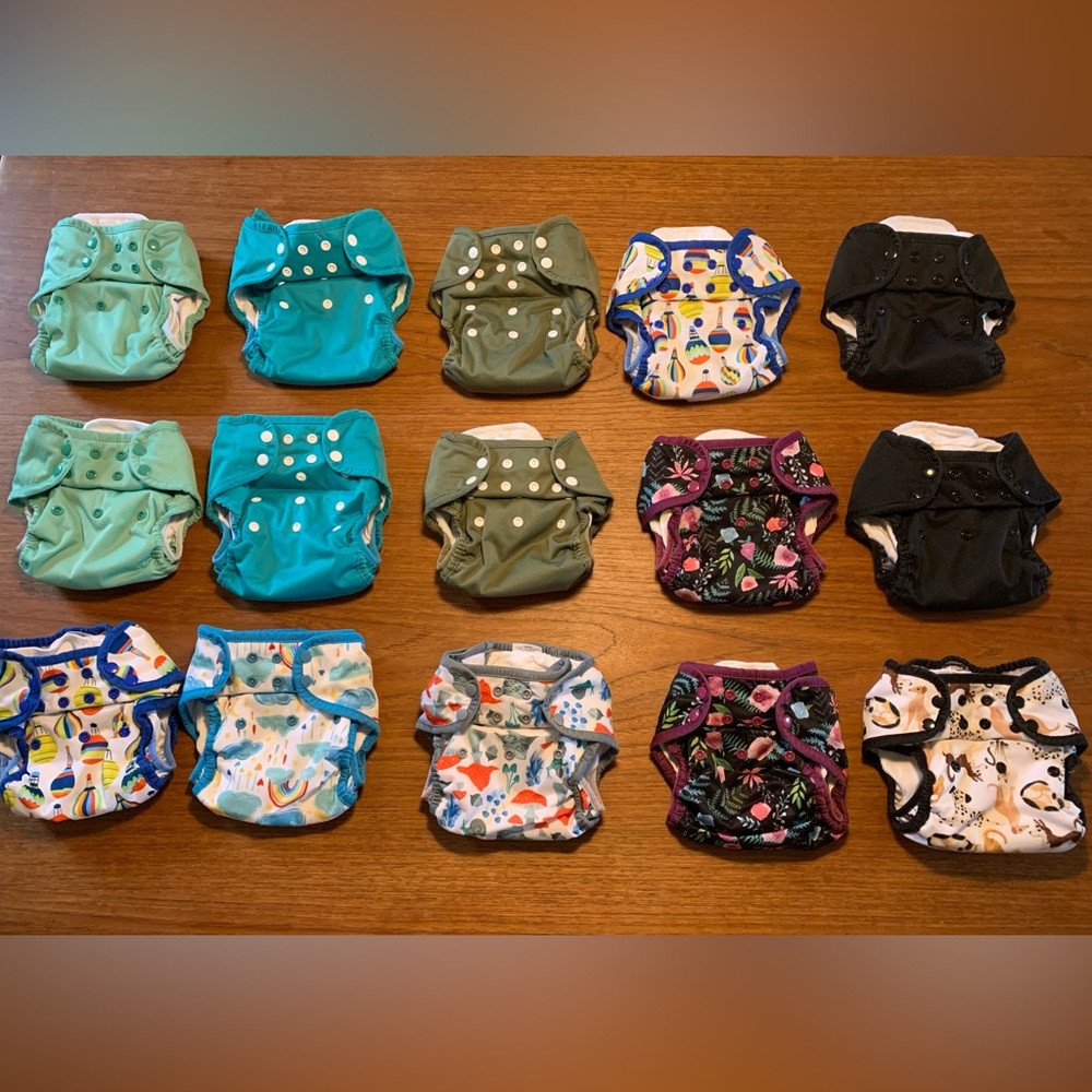 Lot of 17 HIGH QUALITY cloth diapers- THIRSTIES, SLOOMB, BLUEBERRY